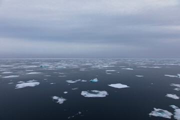 Drifting pack ice in the Arctic Ocean. The snow-capped blue glacial ice is a pristine wilderness,...
