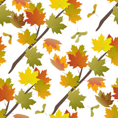 Seamless pattern with autumn maple leaves