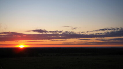 Obraz premium Rural landscape. A beautiful sunset on a hill and a forest stretching to the horizon. Leningrad region, Russia.