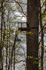 Side view of honey bee swarm trap set up in a tree stand in the woods