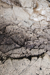 Wet limestone with cracks and a dark streak through the middle