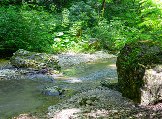 Naklejka na ściany i meble A mountain river in a natural channel with rapids and waterfalls.