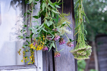 Medicinal herbs are hanging for dry
