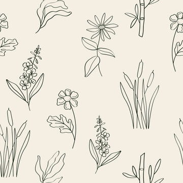 Hand drawn medicinal plants seamless pattern. Feverfew, kelp, chickweed, cattail, fireweed, bamboo