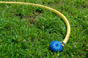 Yellow hose with sprinkler for watering plants. Drought and water conservation. Turned out without...
