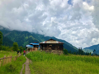 Fototapeta na wymiar footpath or Walkway leading to big house in corn fields. Wooden fence for protection of crop, blue sky and mountains also seen at Arang Kel