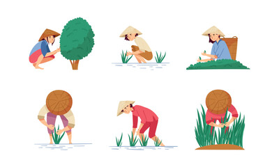 Asian Farmers in Straw Conical Hat Working on Field Vector Set