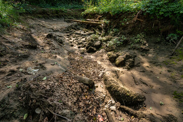 the dry bottom of the Sztoła River covered with rubbish