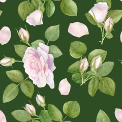 Hand drawn watercolor seamless pattern with pink rose flowers.