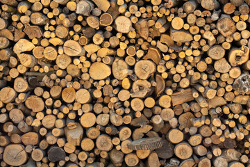 Cross section of tree trunks background. Cutting tree trunks placed together for interior decorate, background