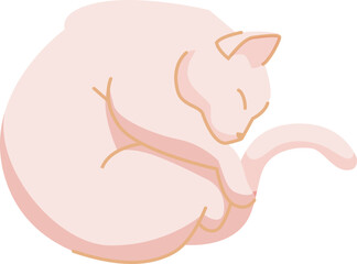 Cat curled up. Fur fluffy ball. Sleeping pet