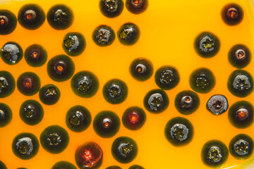 Jelly dessert with fresh blueberries served in a glass, selective focus. Berry texture on yellow background.