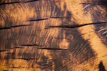 The texture of burnt wood. Black spots on the tree. Abstract background.