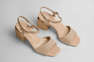 Beautiful stylish women's shoes on a gray background