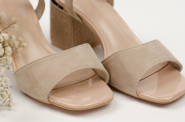 Beautiful stylish women's shoes on a white background, close-up