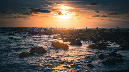 birds enjoying the sunset over the sea