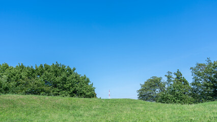 夏の木々と青空・日本の自然