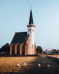 Flock of sheep in front of a church