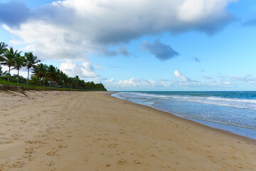 linda praia vazia  com coqueiros, céu azul. Paisagem de verão