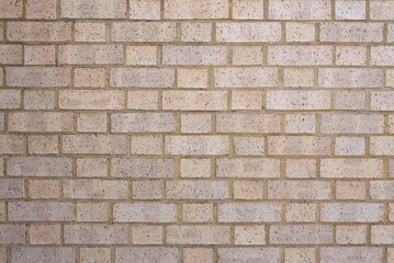 Light pink, purple color brick wall background.