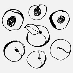 Peach vector set of stock illustrations in hand drawn doodle style. Black line art on white. Whole peaches, sliced peaches.