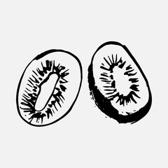 a single vector illustration of a kiwi. Lines art kiwi fruit, doodle. good for logo. Kiwi. Hand drawn vector illustration in doodle style, isolated on a white background.