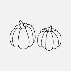 Doodle pumpkins. Hand drawn ink illustration. Pumpkin vector drawing. Isolated hand drawn object. Vegetable engraved style illustration. Detailed vegetarian food sketch. Farm market product.