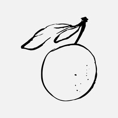 Silhouette orange one line drawing fruit. Organic simple icon. Food object in minimal graphic hand drawn style.  Vector monochrome illustration of orange logo.