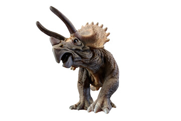 triceratops dinosaur on transparent background PNG 3d rendering © Roman