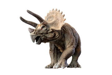 triceratops dinosaur cutout on transparent background PNG 3d rendering