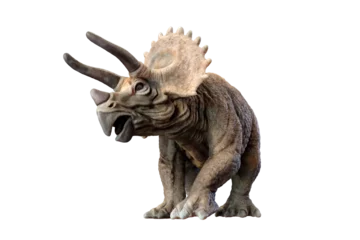Afwasbaar Fotobehang Dinosaurus triceratops dinosaur on transparent background PNG 3d rendering