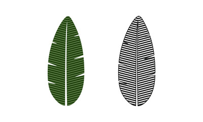 Banana leaves isolated on white background. banana leaf vector illustration. Banana fruit colored and black leaves design