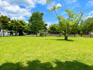 Obraz premium 芝生のある風景