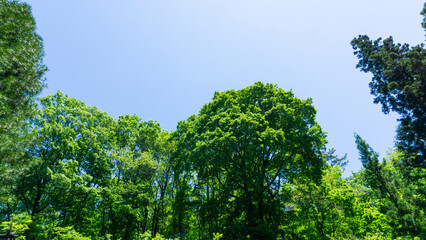 爽やかな青空と雲と山の景色