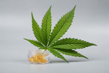 cannabis resin extract and green leaf closeup, medical marijuana concept.