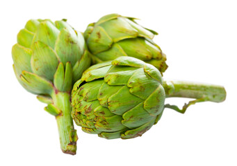 Closeup of ripe green artichoke globes, selective focus. Popular vegetarian product. Isolated on...