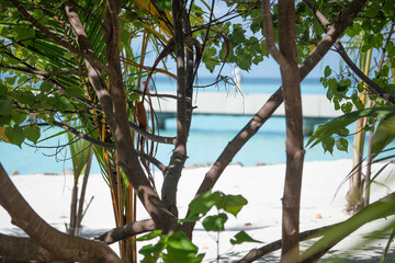 Looking trough trees at beautiful beach in Maldives 2022, tropical paradise