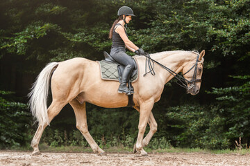 Equestrian scene: A female rider on a palomino kinsky warmblood horse during warm up for dressage...