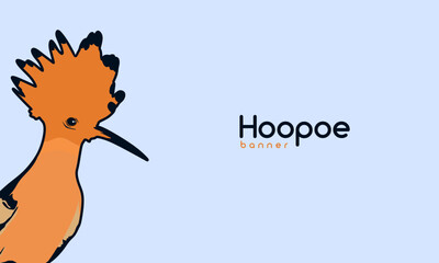 Vector illustration of hand drawn sweet Hoopoe. Ink drawing, graphic style. Beautiful animal design elements. Template banner © Narek