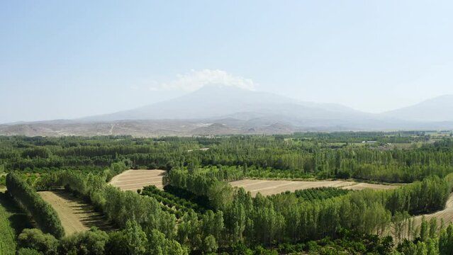 Aerial view of Igdir Irem Vineyards. 4K Footage in Turkey