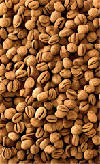close up of nuts