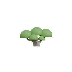 3d green oak tree