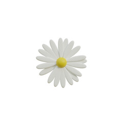 3d yellow daisy flower