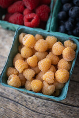 yellow raspberrry, white raspberry image