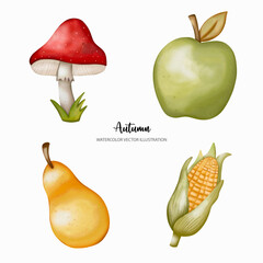 Thanksgiving autumn elements, mushroom, pear, green apple, corn, Thanksgiving Vector illustration..