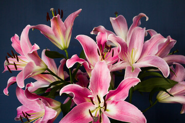 Beautiful bouquet of flowers. Lilies on a dark background. Background. Texture.