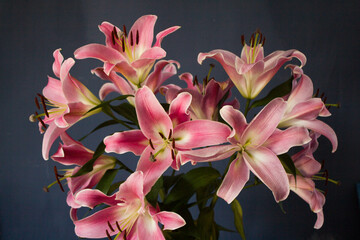 Fototapeta premium Beautiful bouquet of flowers. Lilies on a dark background. Background. Texture.