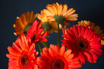 Beautiful bouquet of flowers. Lilies on a dark background. Background. Texture.