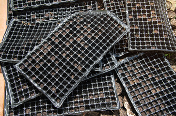   Black seed tray with empty square cells,  empty and new seedling tray used as growing trays for...