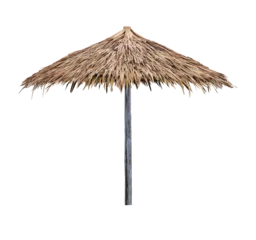  Single beach umbrella parasol made of coconut leaf isolated on transparent background © Akarawut